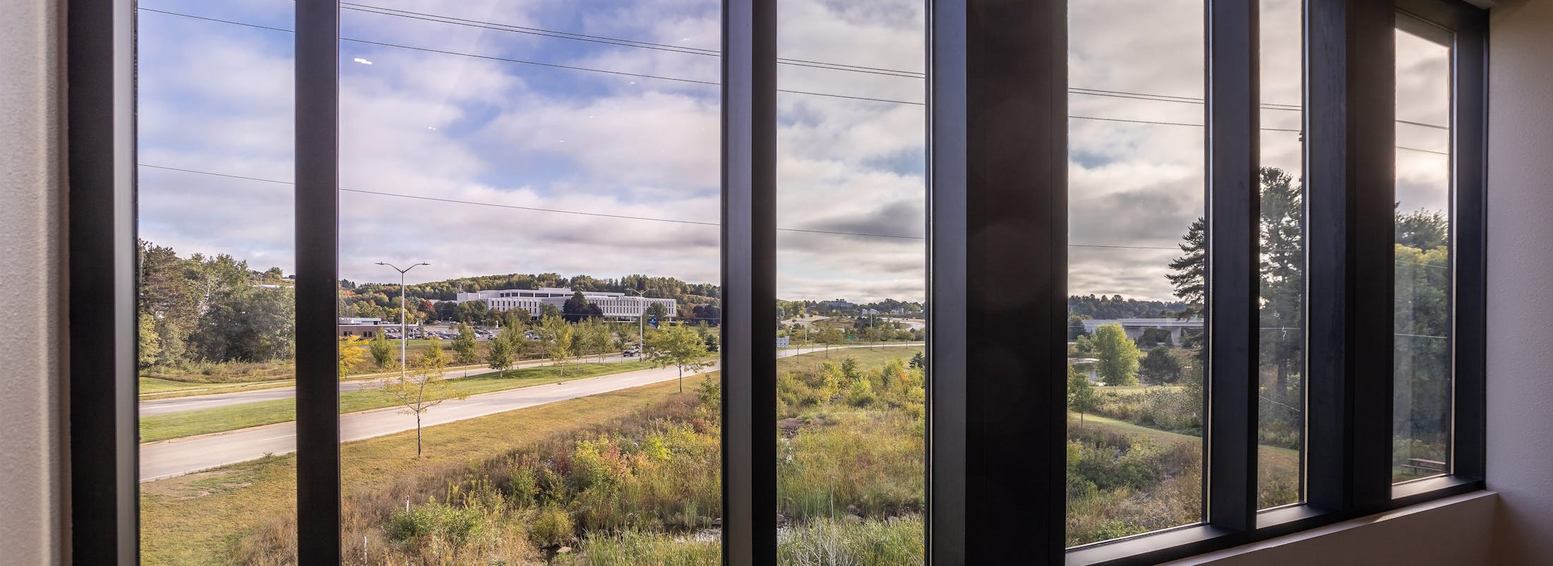 grassy hill from window