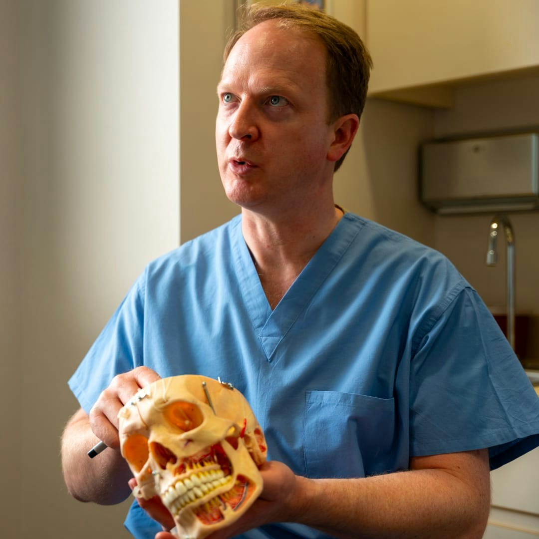 Doctor holding a model of a skull