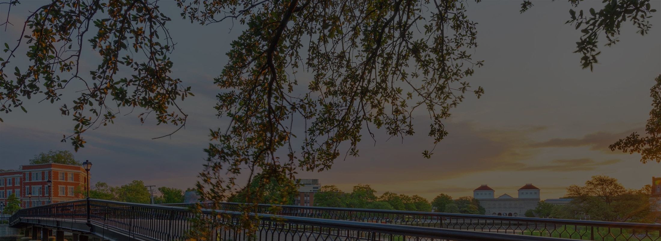 Banner media