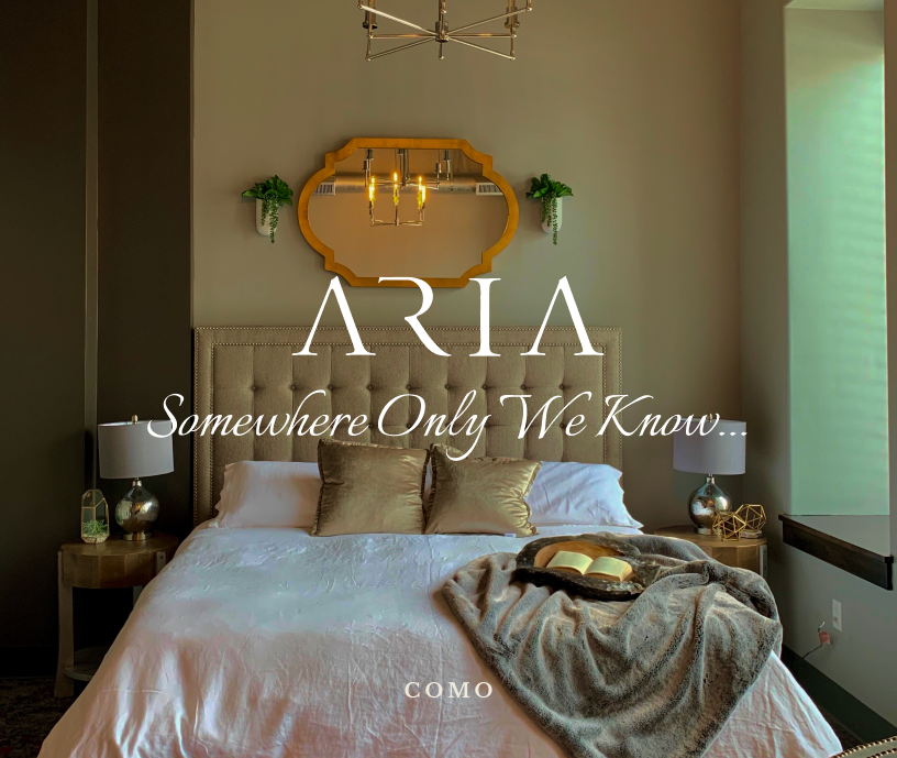 Aria coro room image