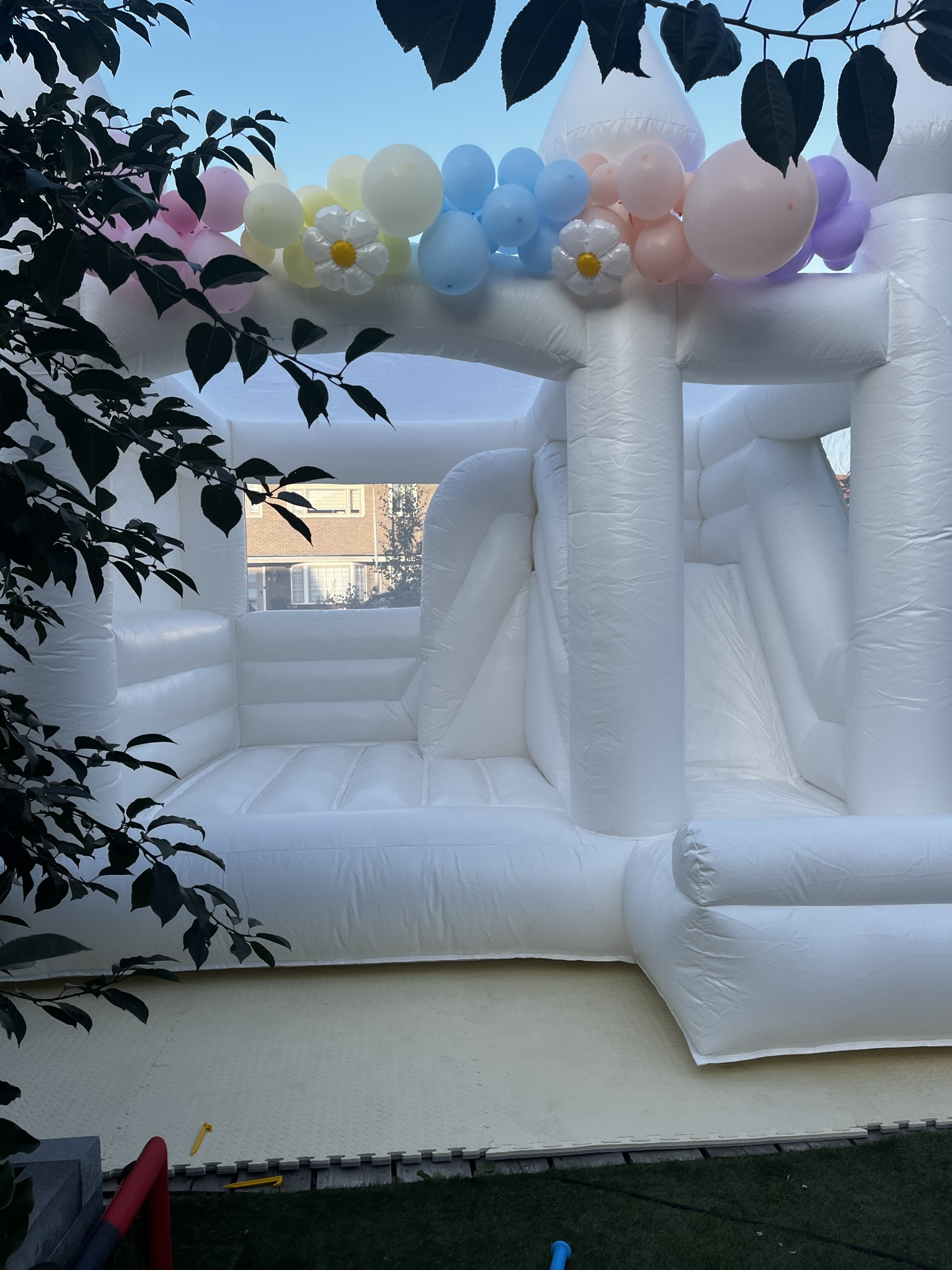 XL Bouncy