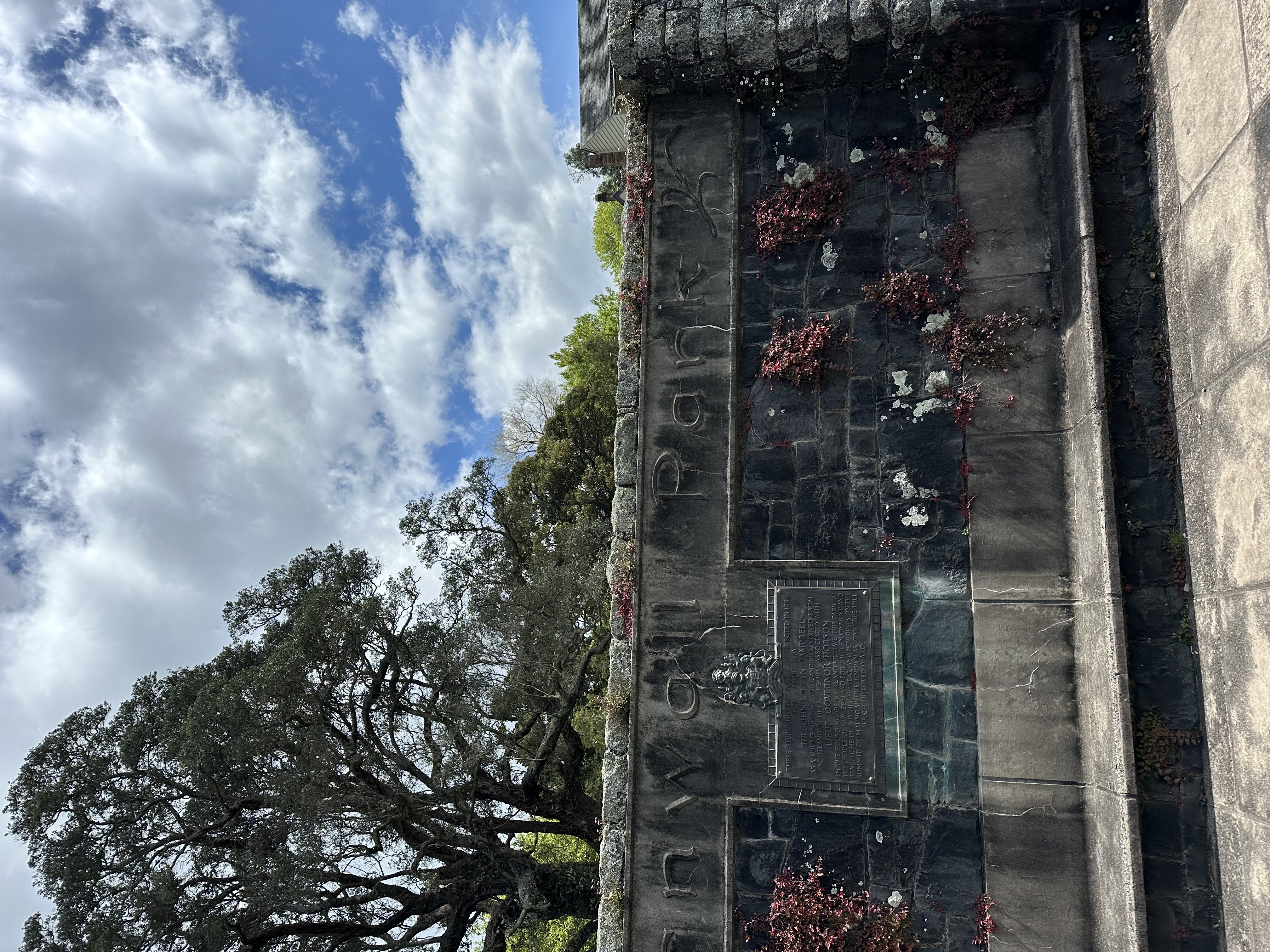 Cornwall Park, Auckland