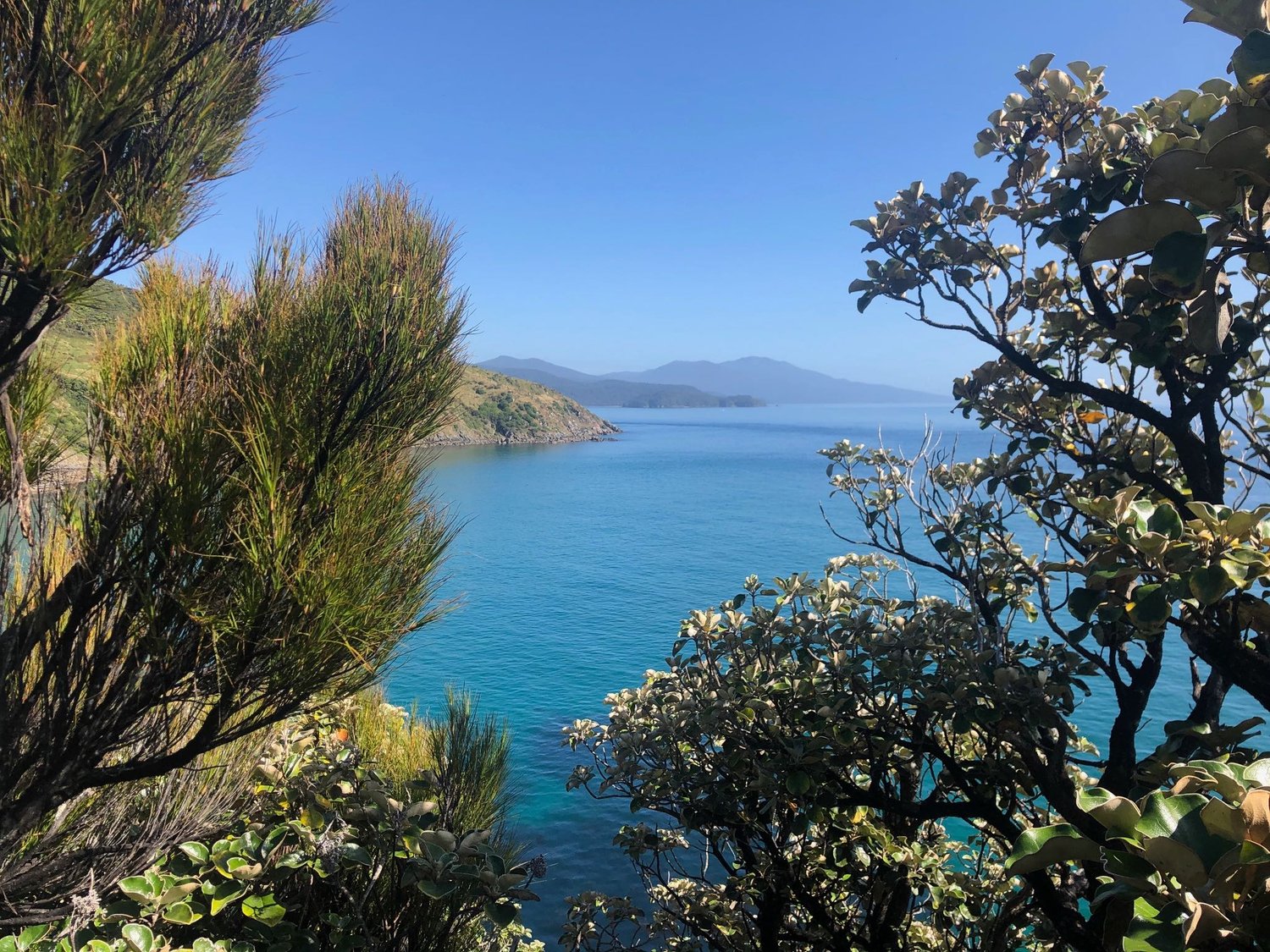 Mamaku Point, Rakiura Stewart Island 