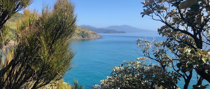 Mamaku Point, Rakiura Stewart Island