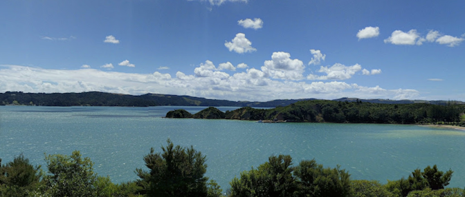 Rotoroa Island