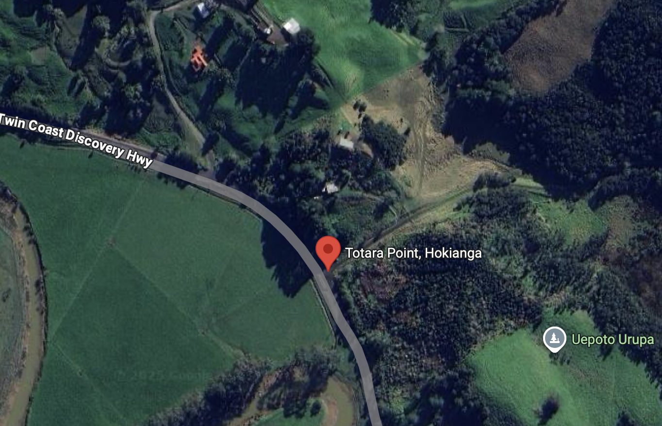 Tōtara Point, Hokianga