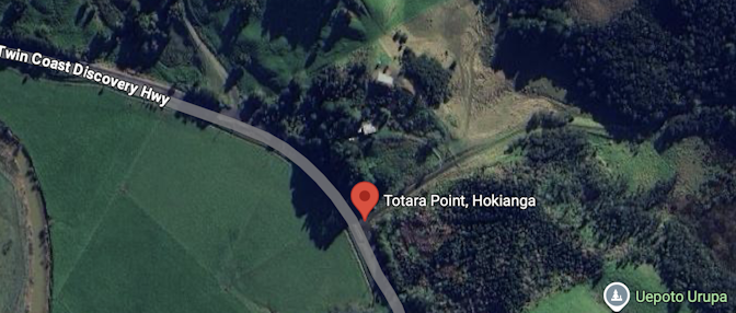 Tōtara Point, Hokianga