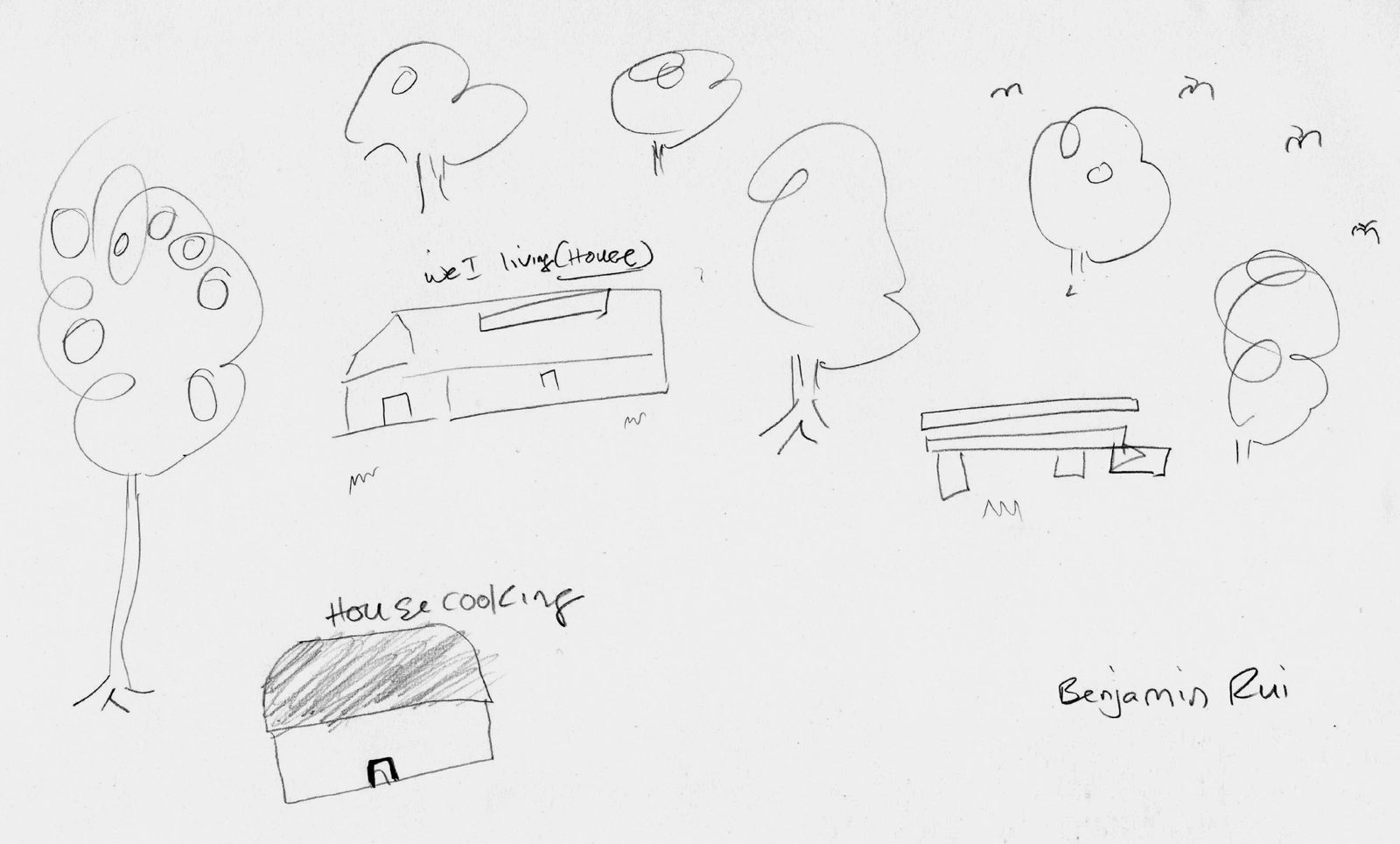 Benjamin, from the PNG highlands, drew the raised platform his village calls a patapata.