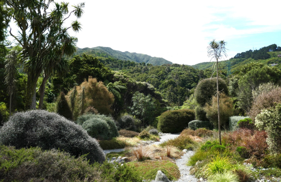 Ōtari-Wilton's Bush, Wellington