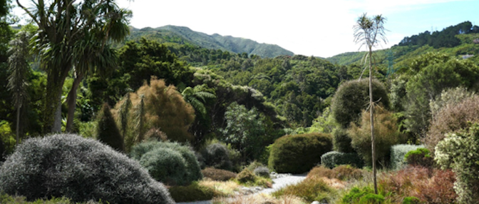 Ōtari-Wilton's Bush, Wellington