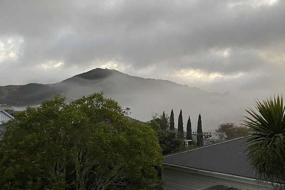 Johnston Hill, Wellington