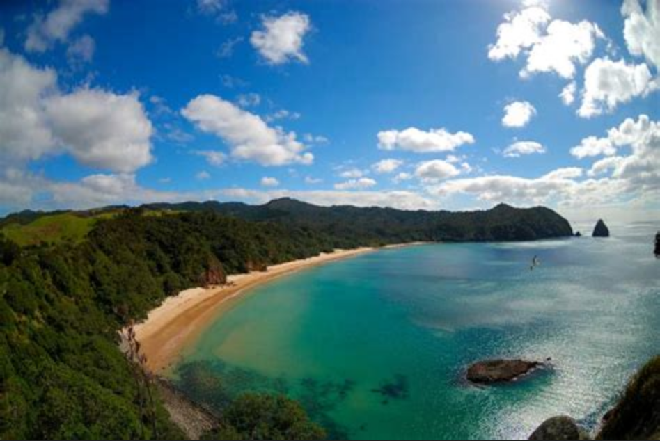 Wainuiototo New Chum Beach