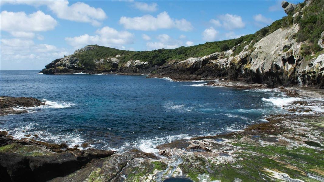 Manukau, Rēkohu Chatham Islands