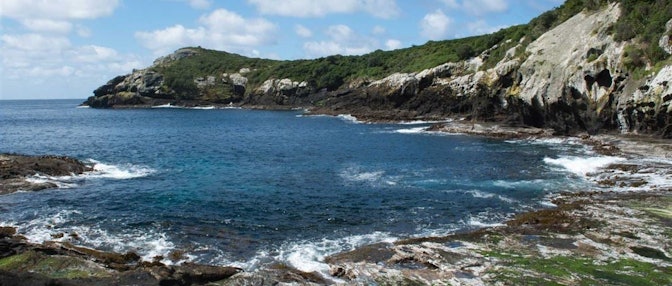 Manukau, Rēkohu Chatham Islands