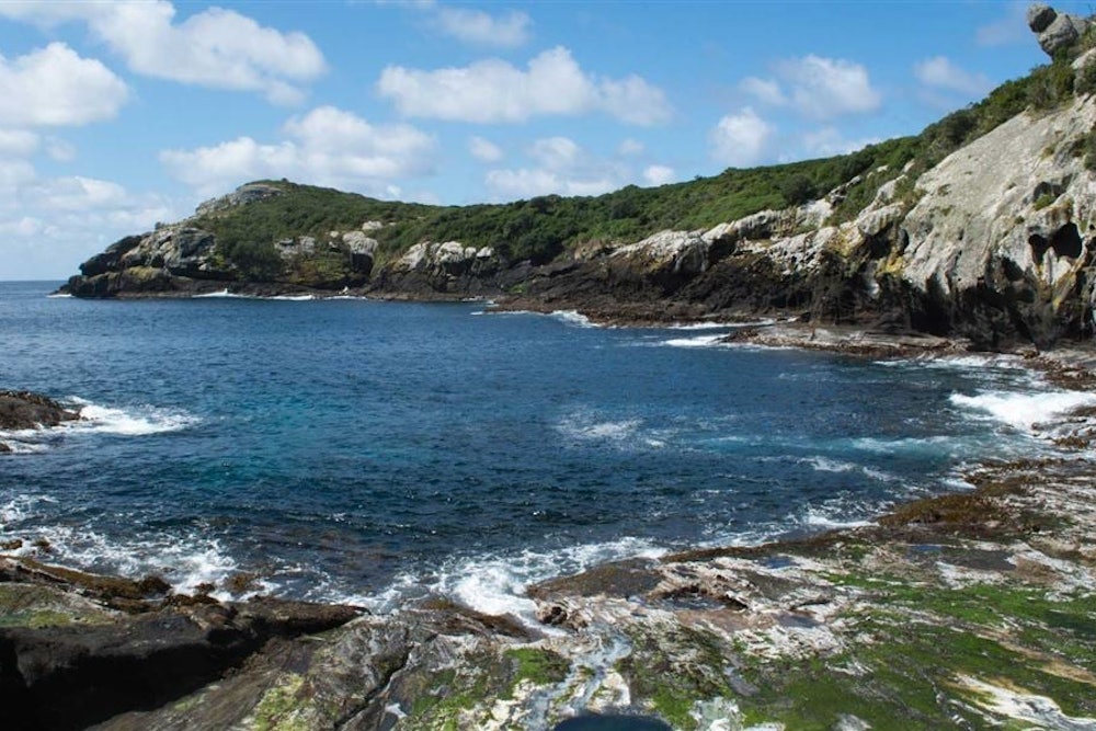 Manukau, Rēkohu Chatham Islands