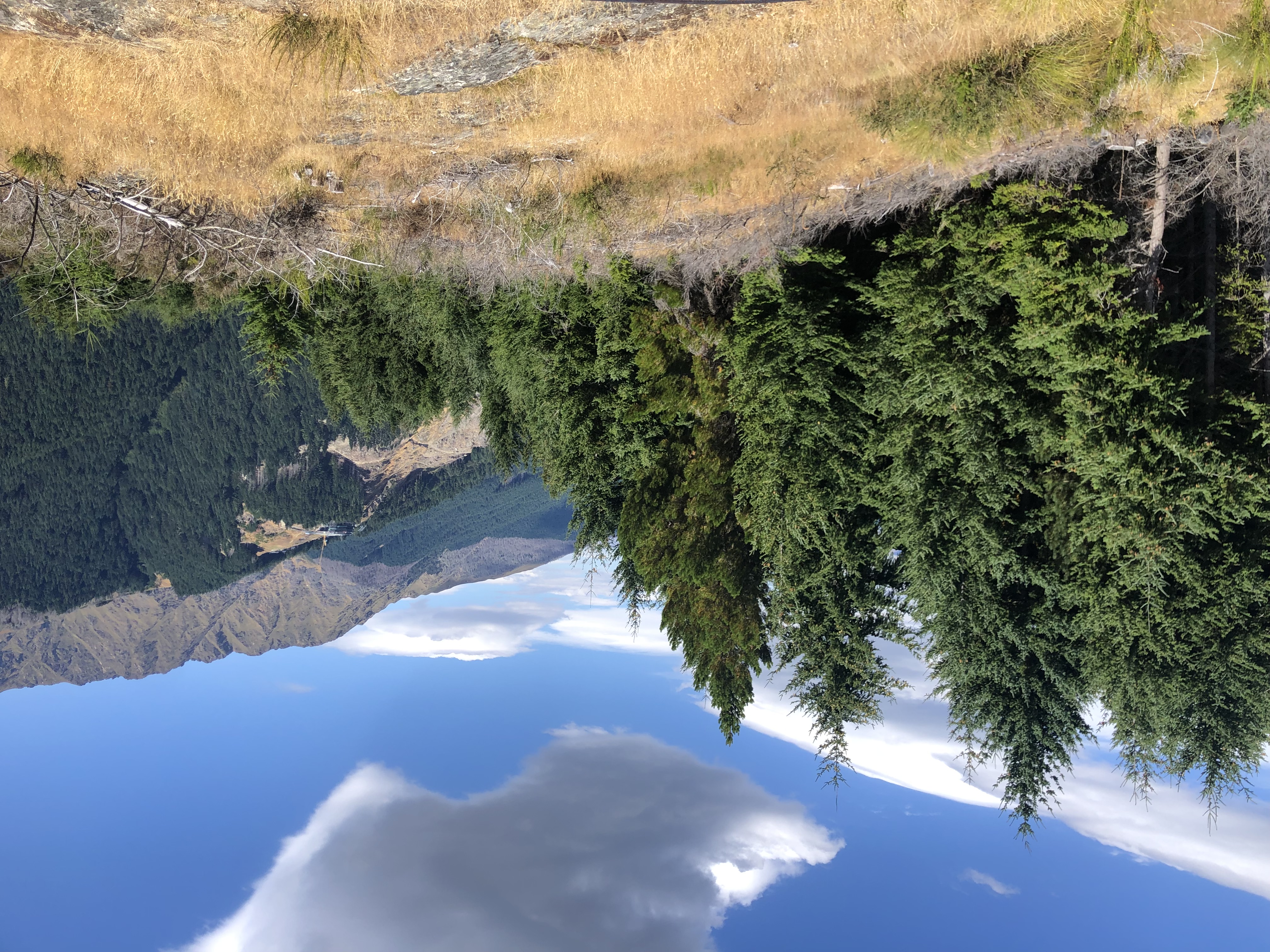 Queenstown hill