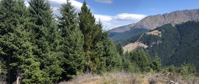 Queenstown hill