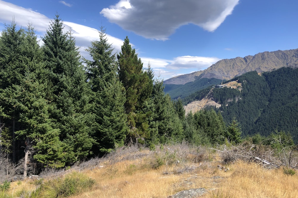 Queenstown hill