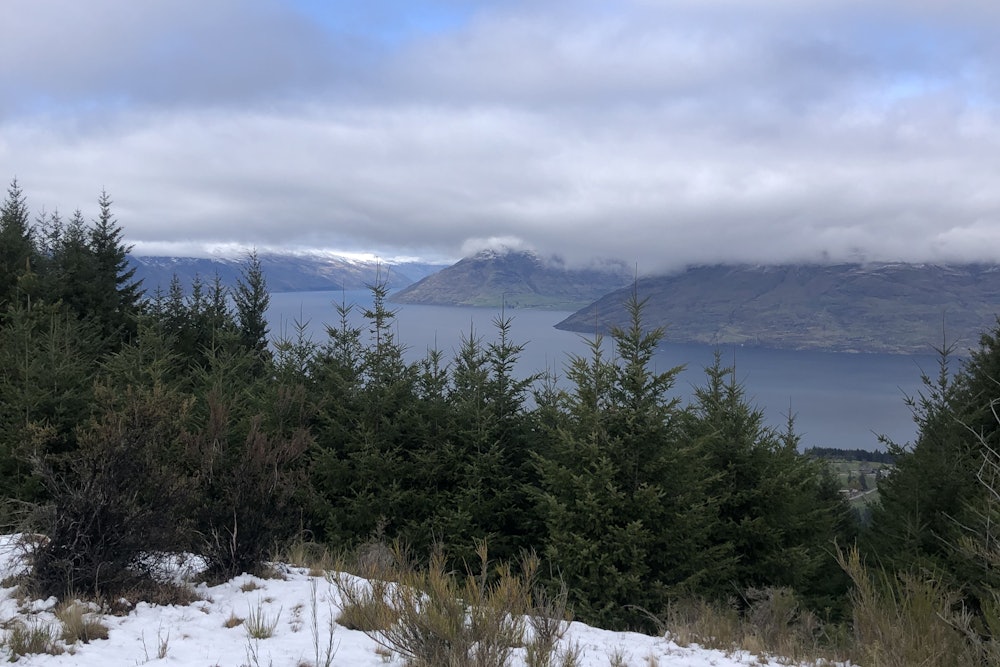 Queenstown hill