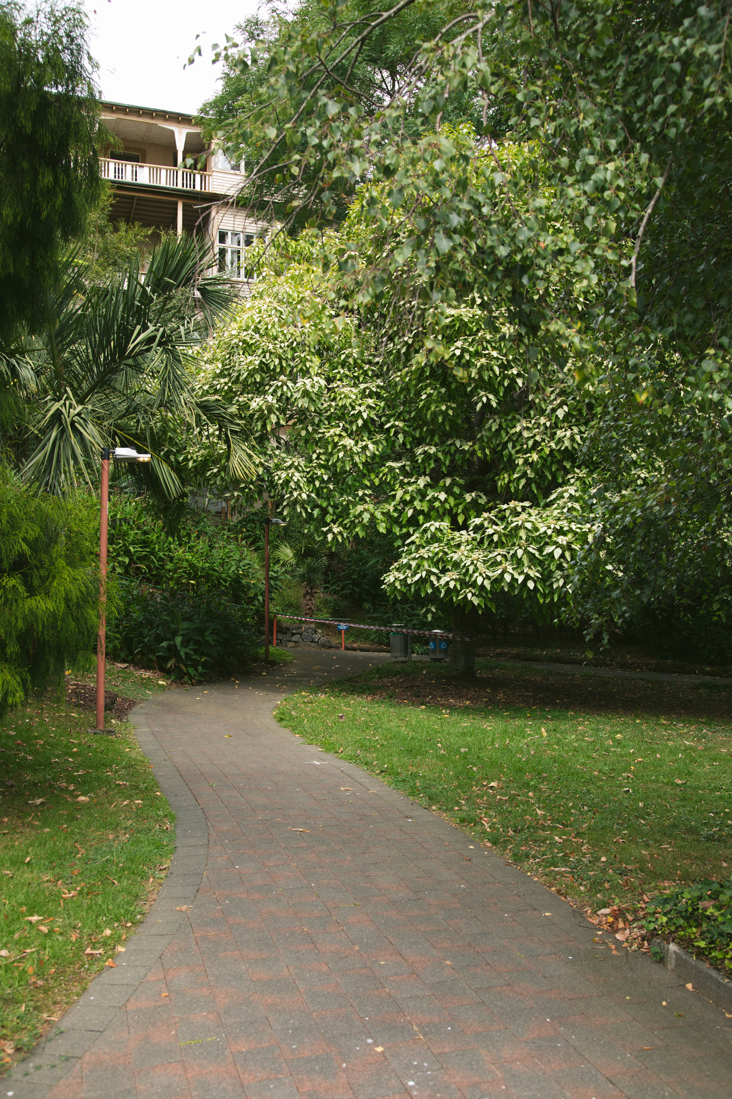 Te Puna o Wai Ariki