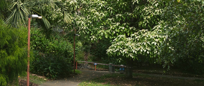 Te Puna o Wai Ariki