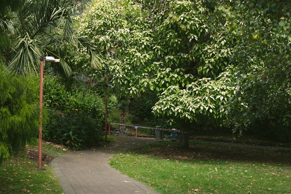 Te Puna o Wai Ariki