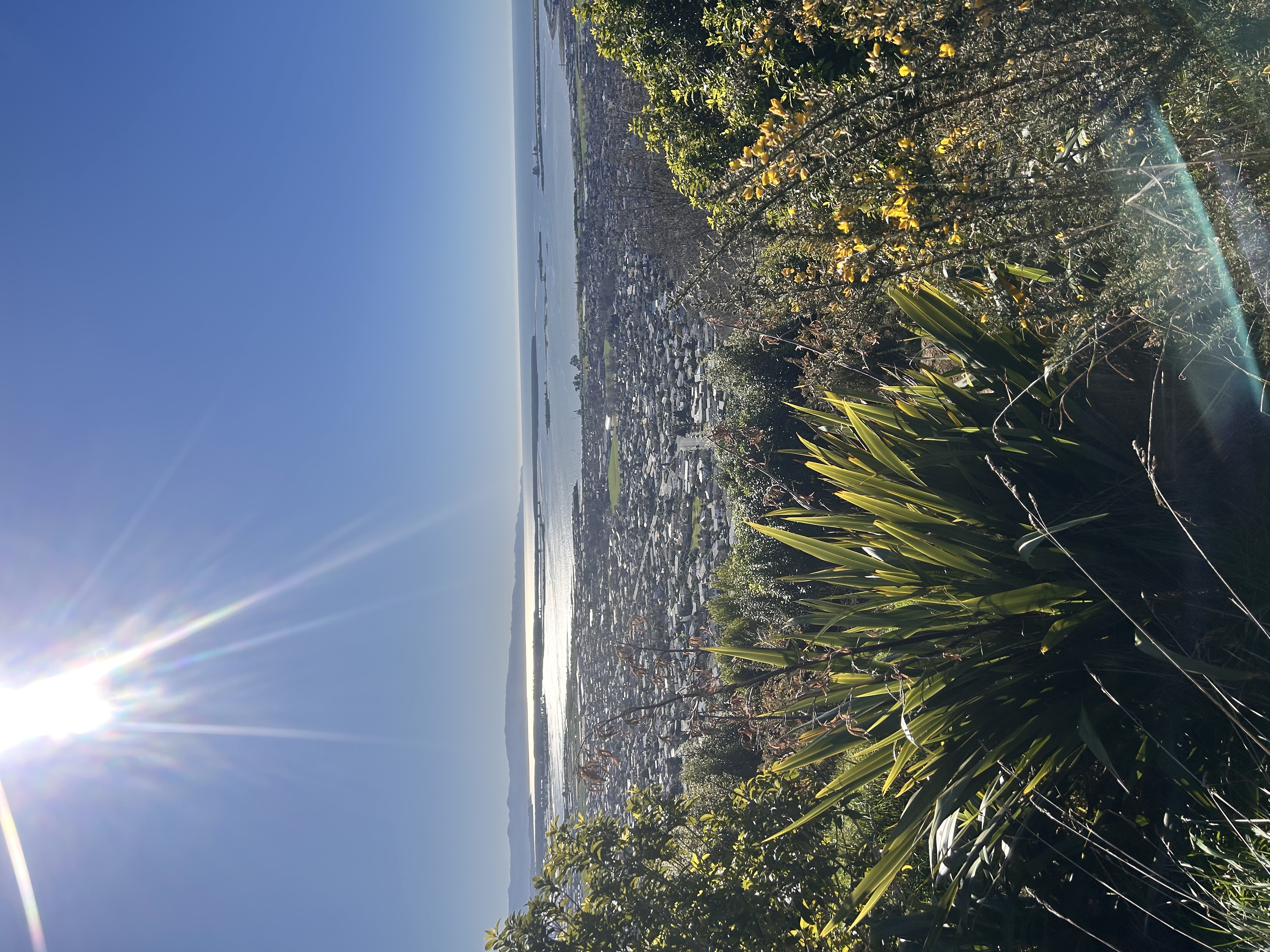 The Richmond Hills 