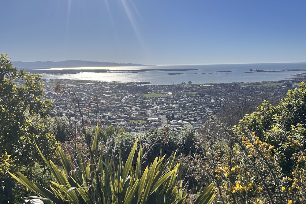 The Richmond Hills