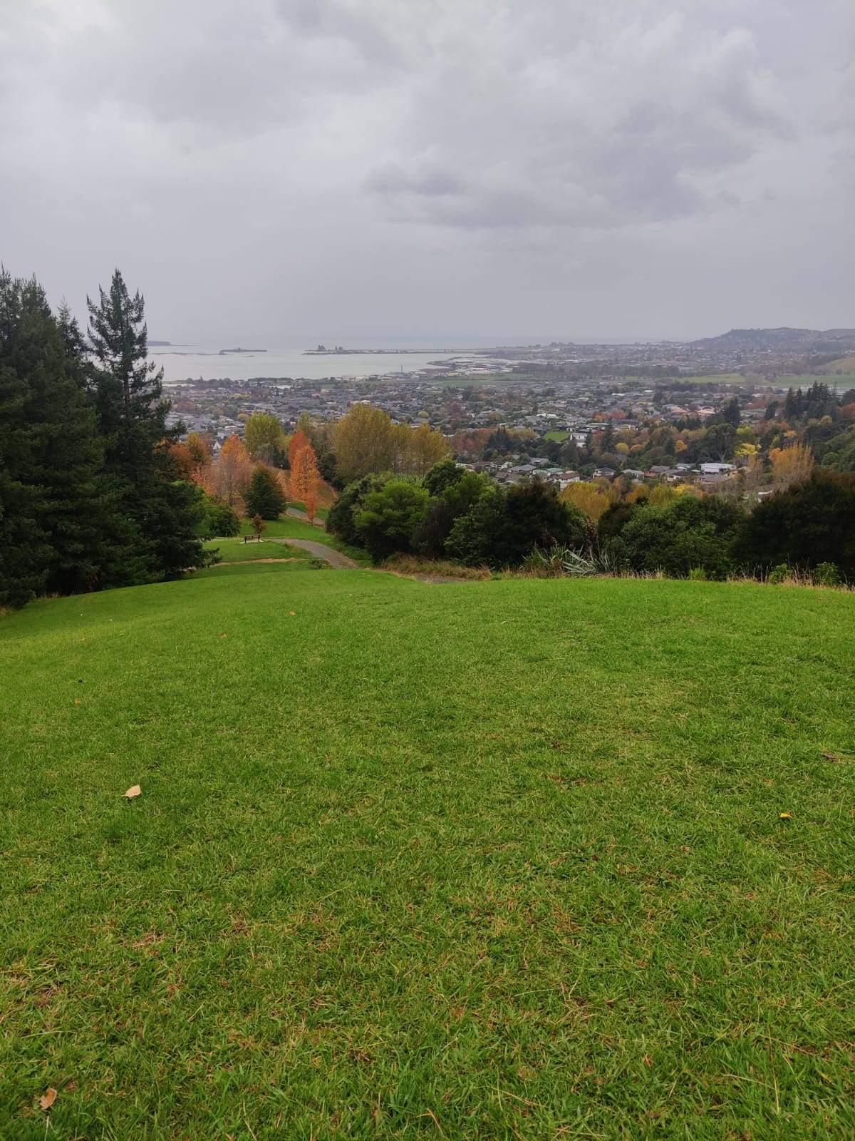 The Richmond Hills