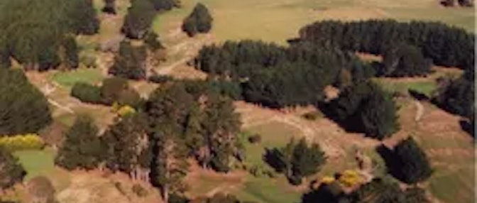 Lake Horowhenua