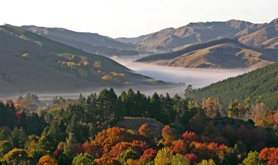 Eastwoodhill Arboretum, Ngatapa, Gisborne
