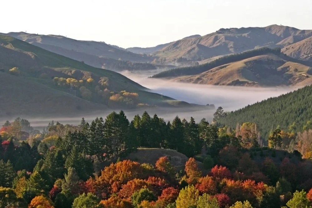 Eastwoodhill Arboretum, Ngatapa, Gisborne