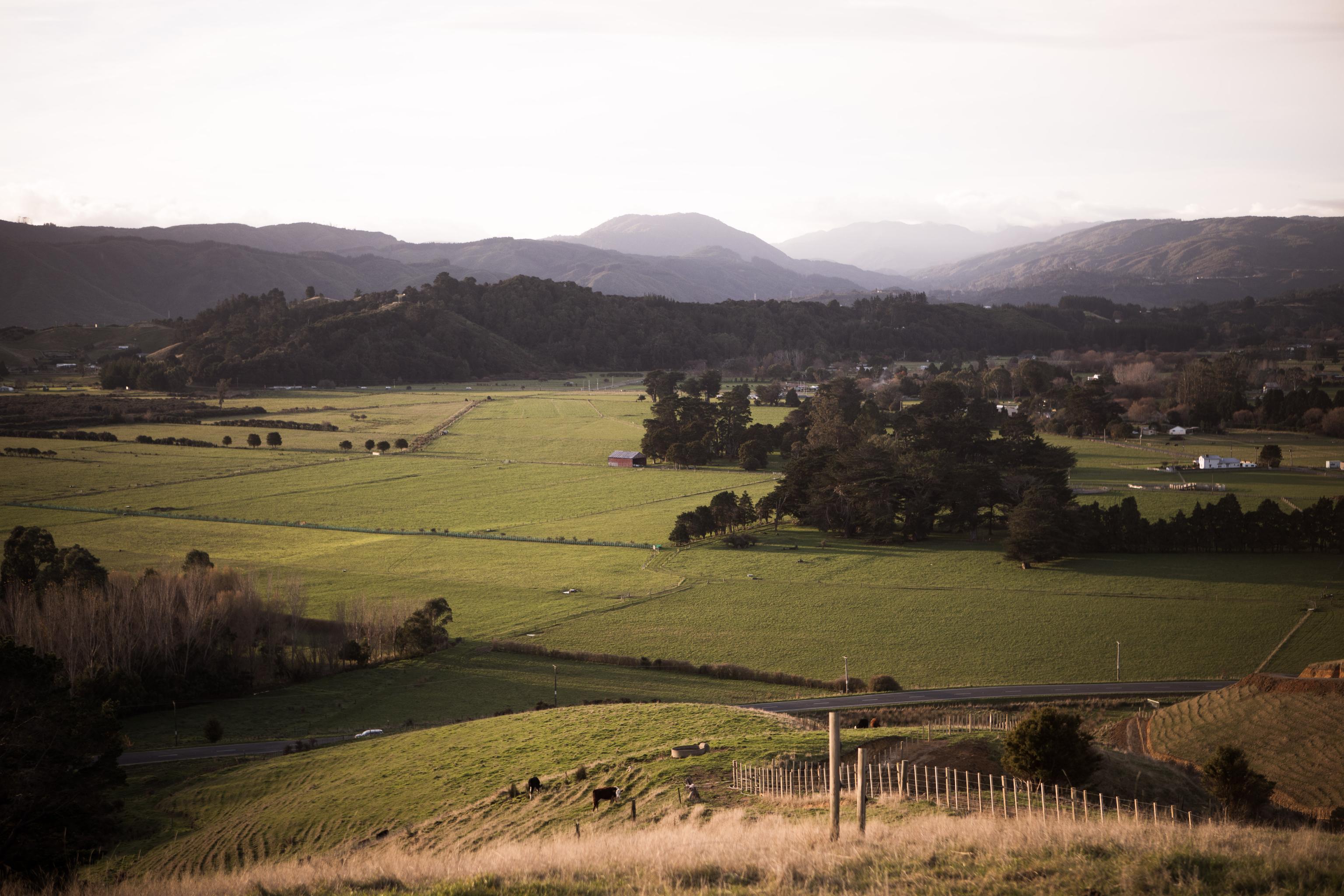 Mangaroa Farms public trail