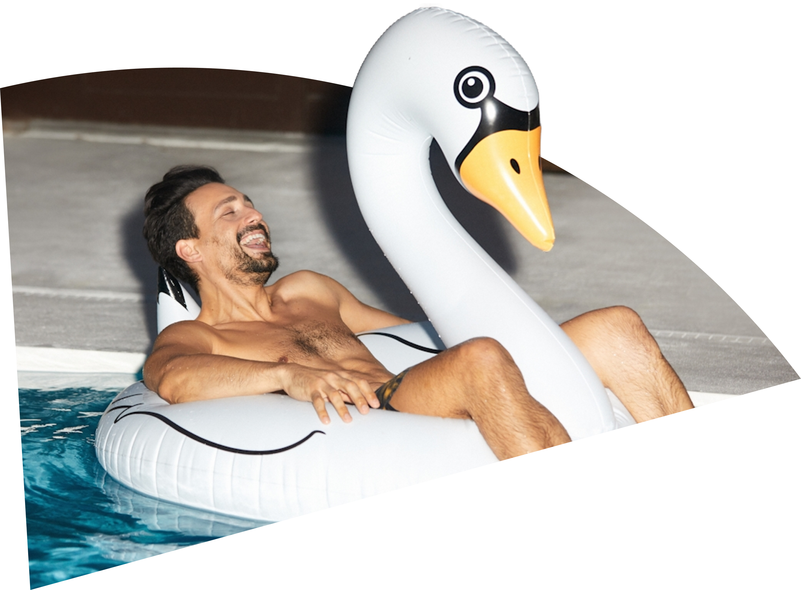 Swan