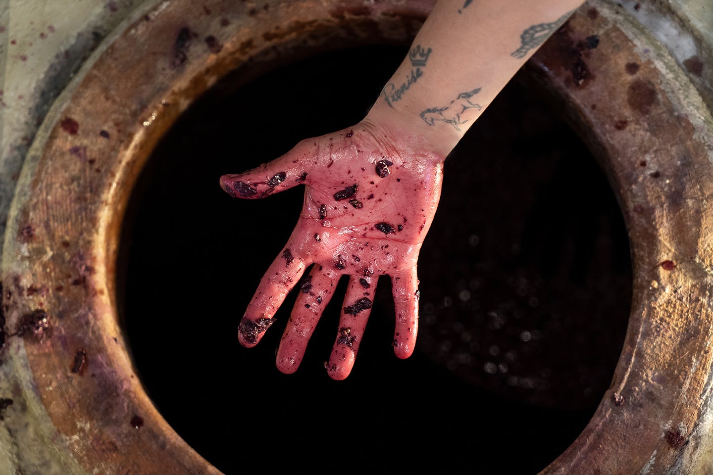 Mano vino