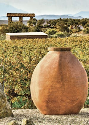 Tenuta Olianas