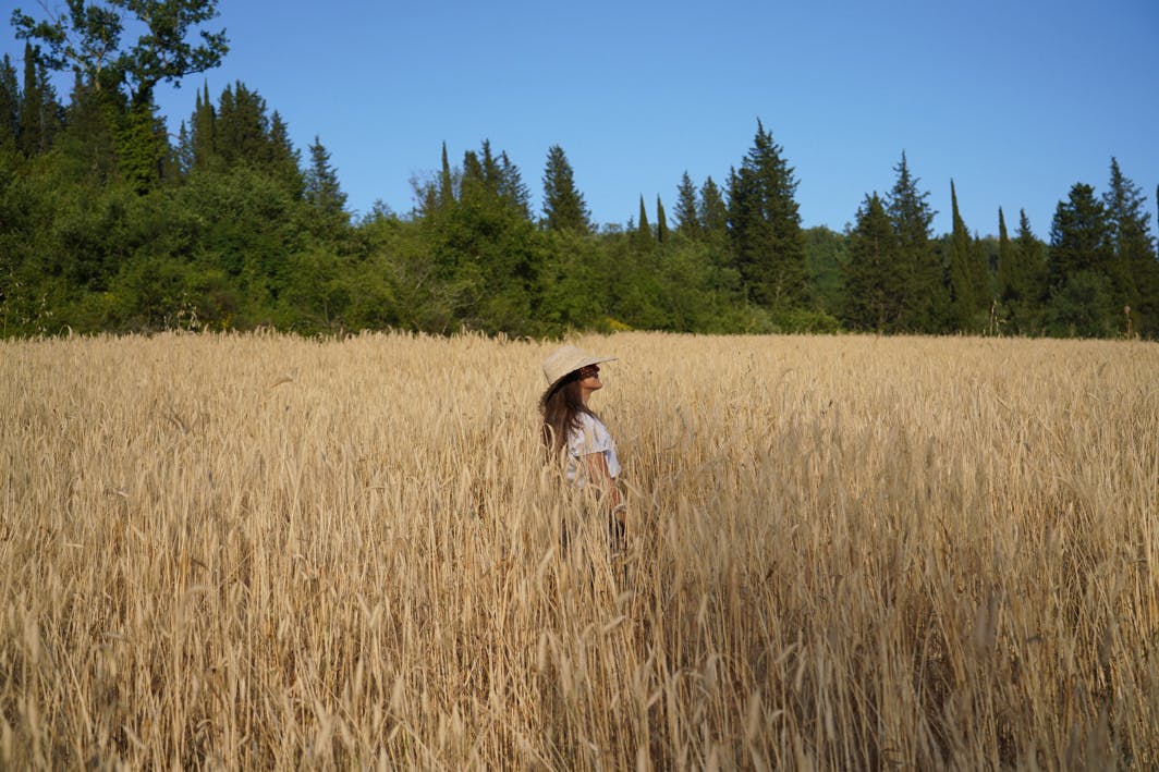 Il nostro campo di grano