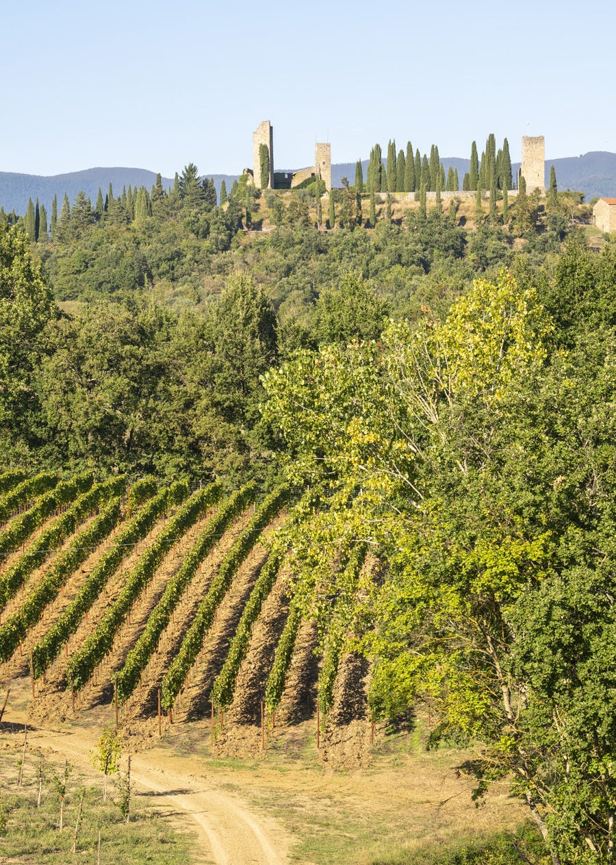 Terre di Romena