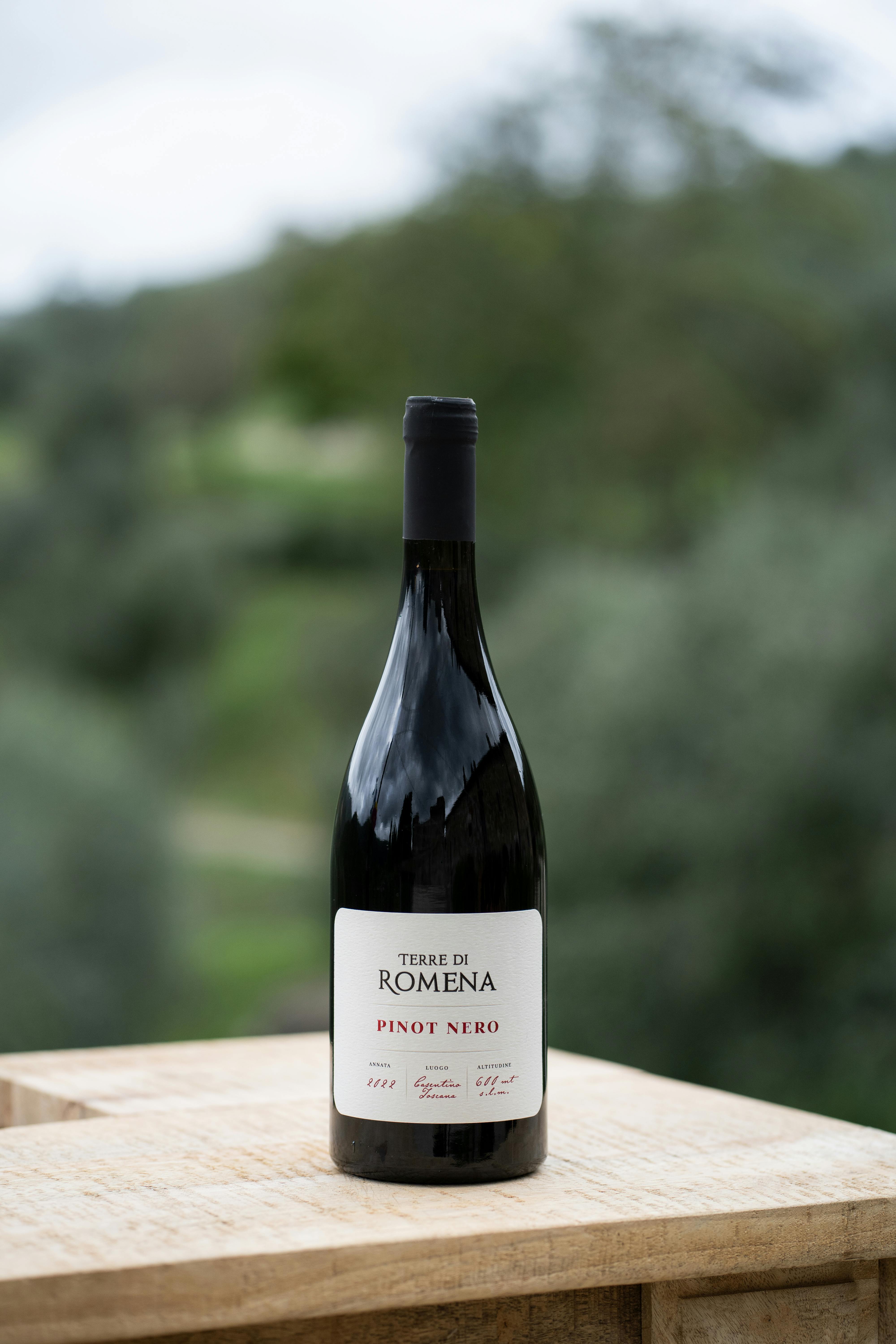 Pinot nero Terre di Romena