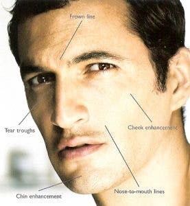 man facial anatomy
