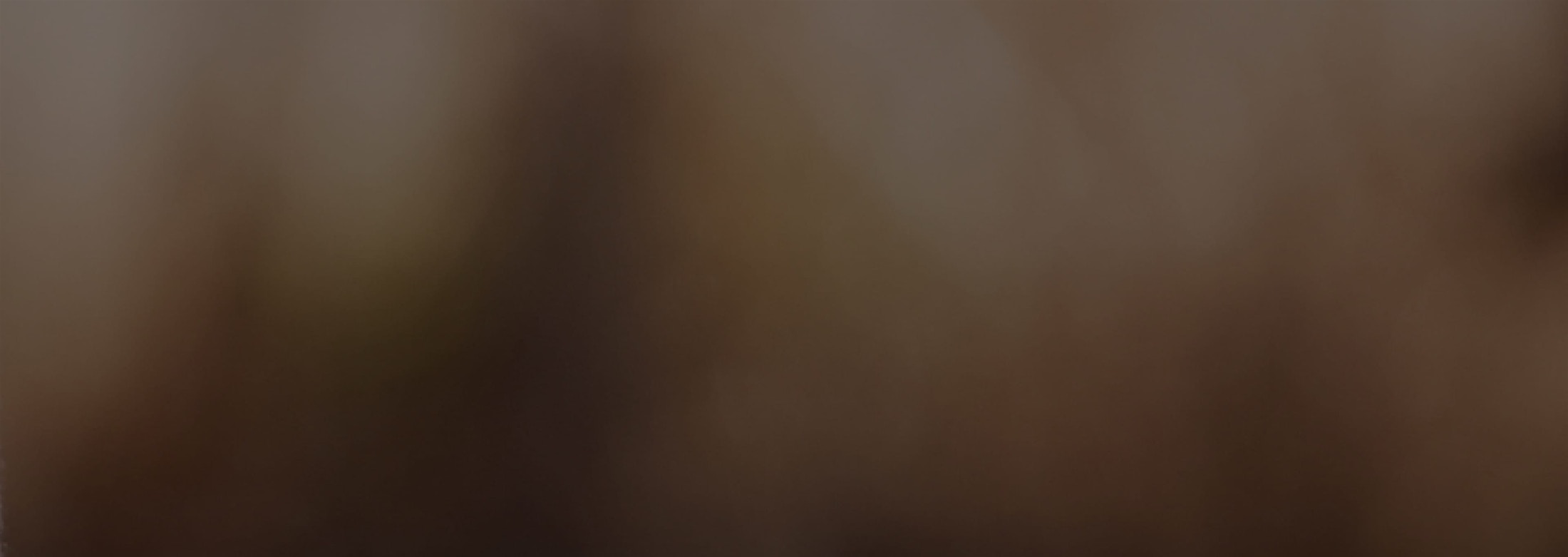Banner media