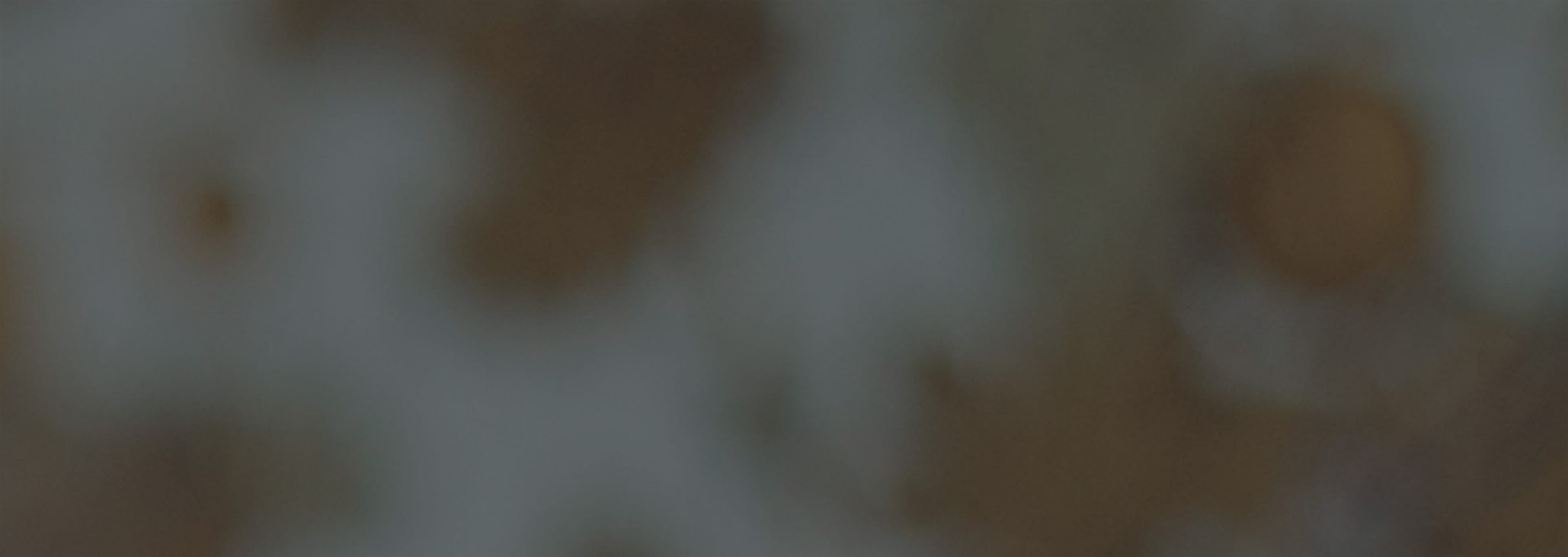 Banner media