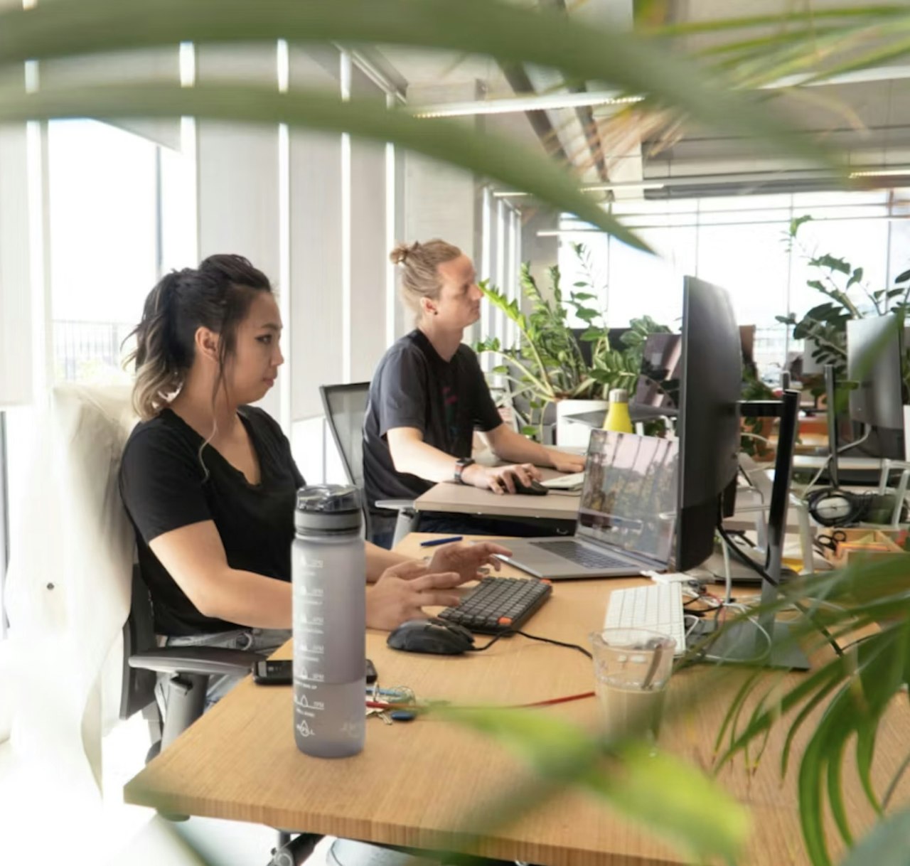 Voorhoede developers aan het werk achter hun bureaus tussen de planten
