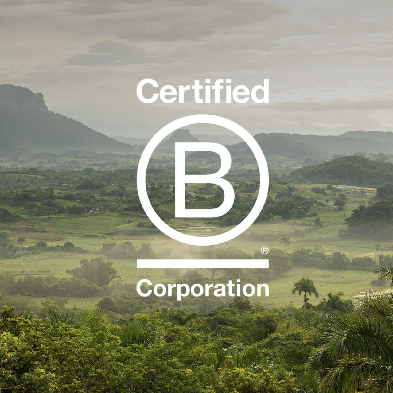 Certified B Corporation logo over uitgestrekt groen landschap