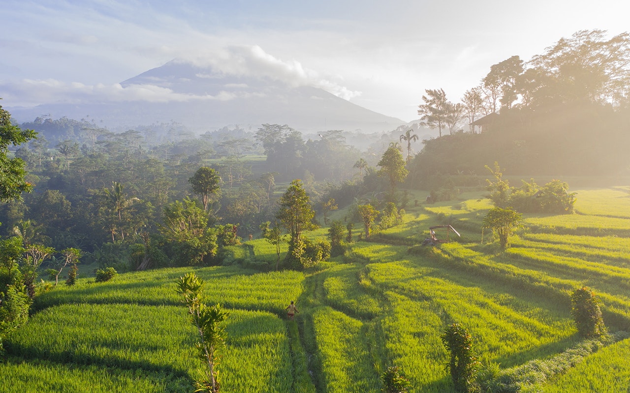 Indonesian landscape