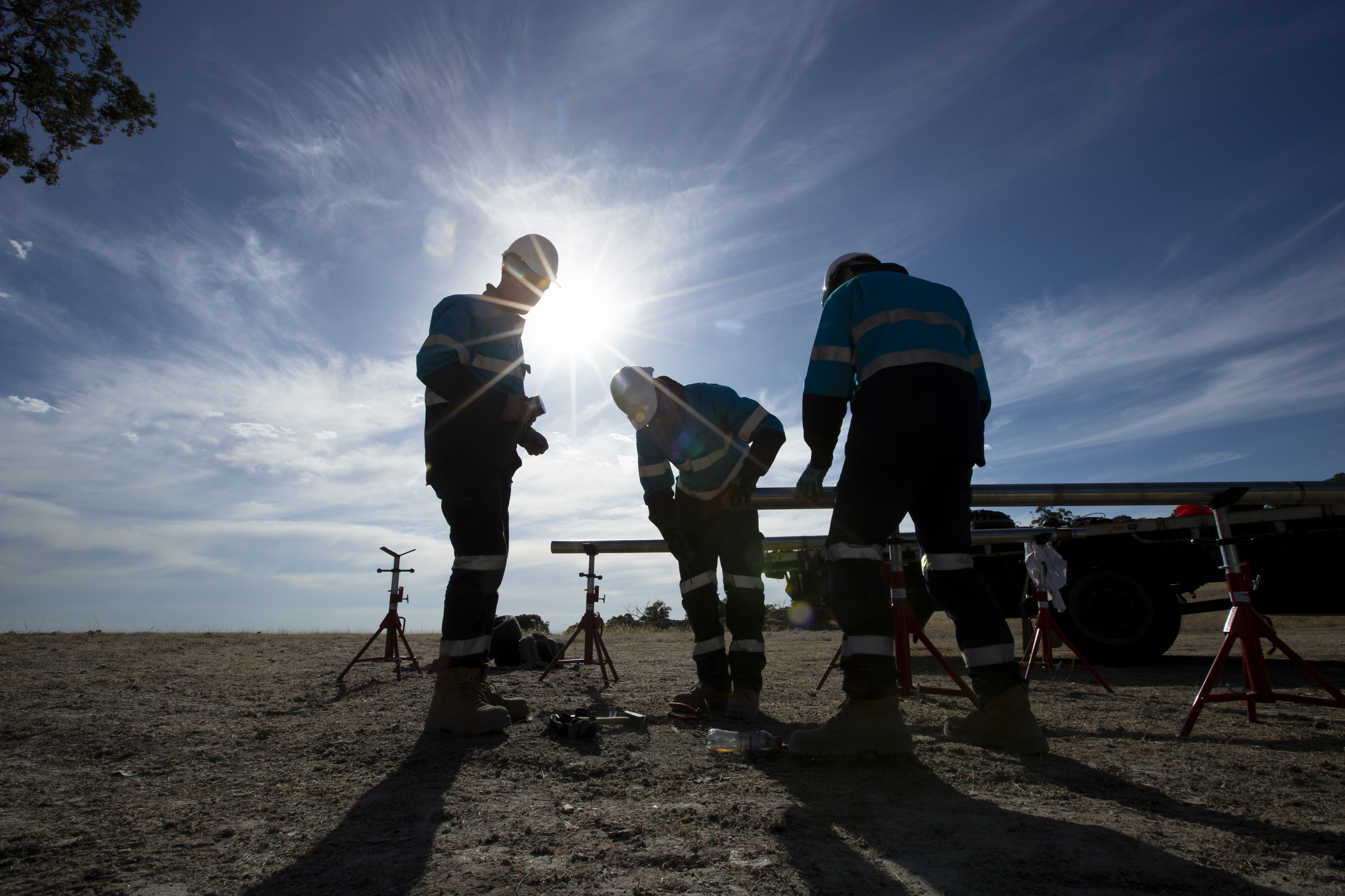 Zelandez Workers