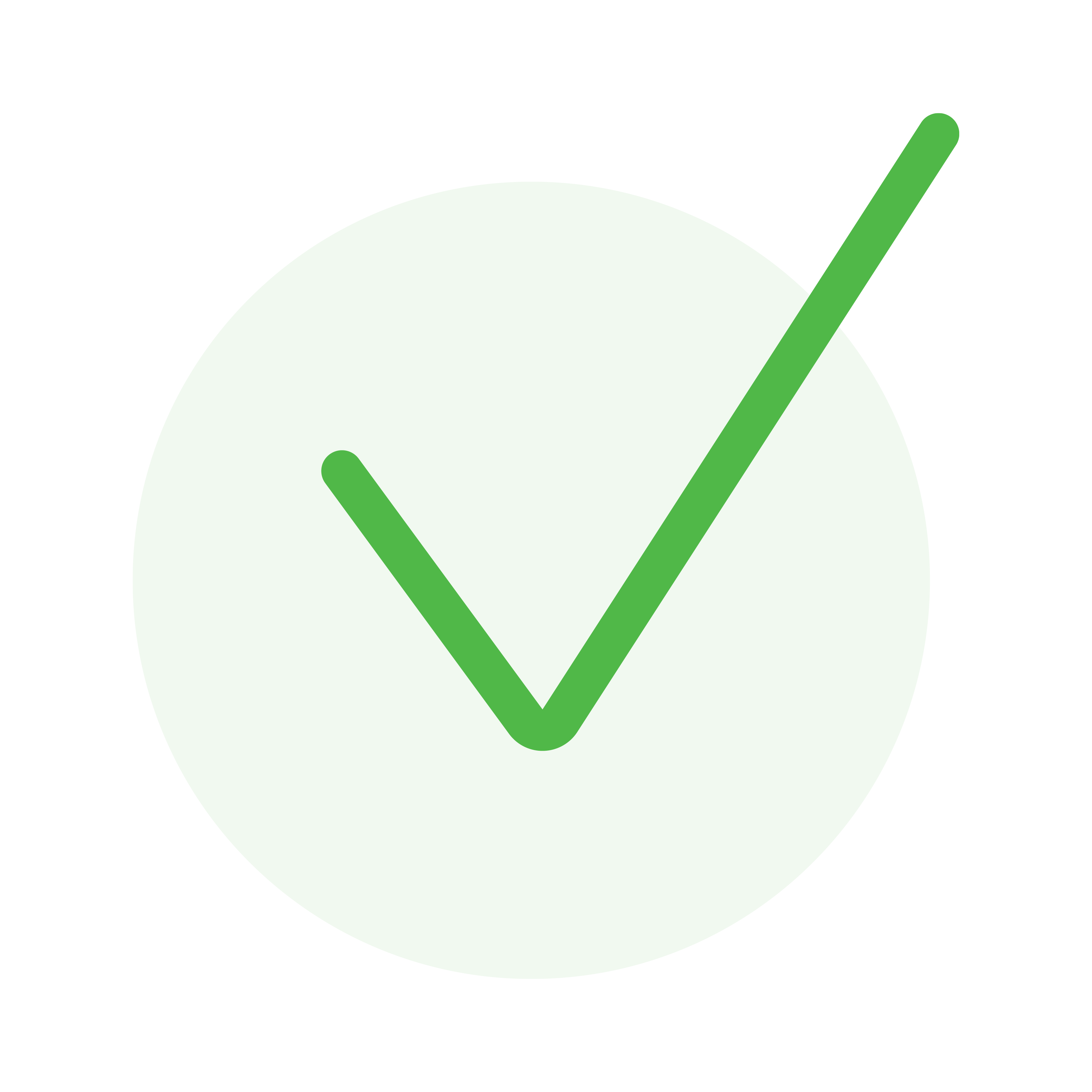 Tick Icon