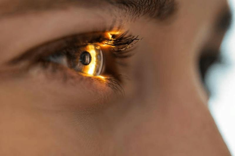 Woman's Eye