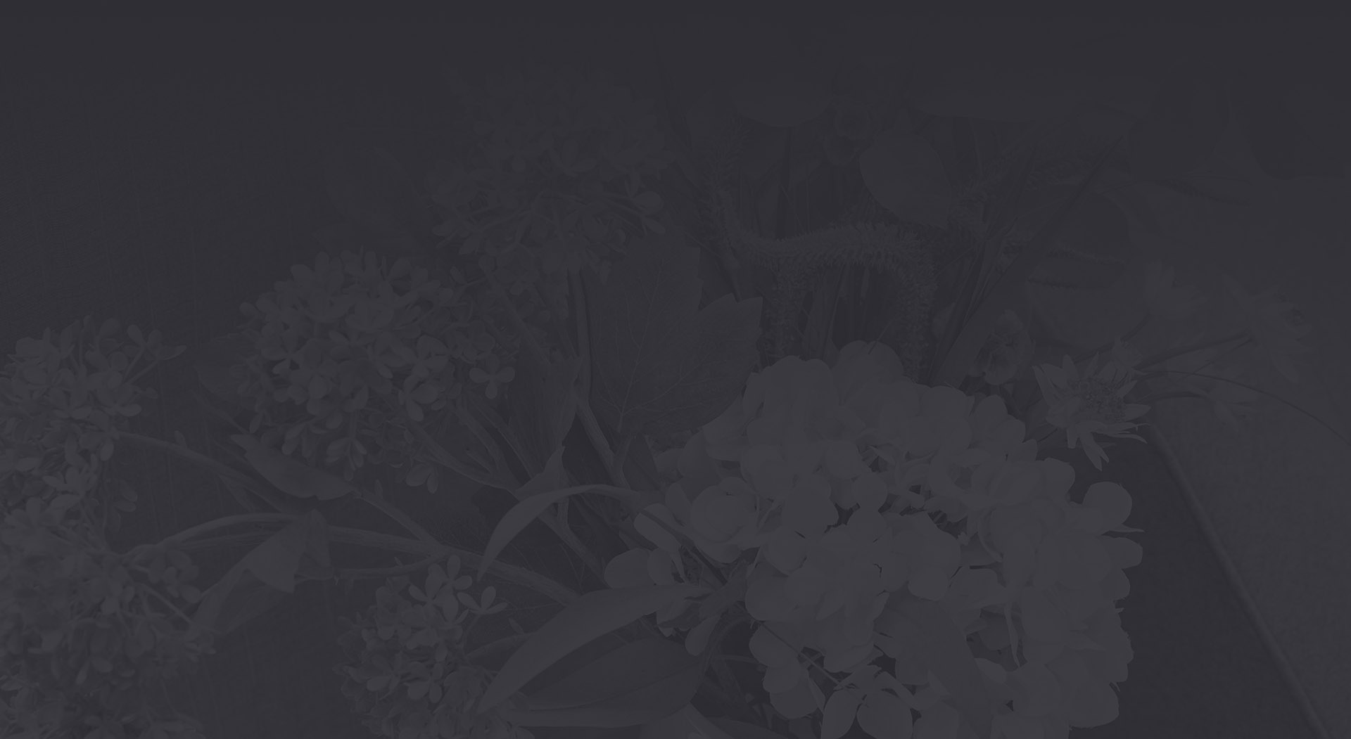 Brow Lift NYC Endoscopic Brow Lift New York City, NY