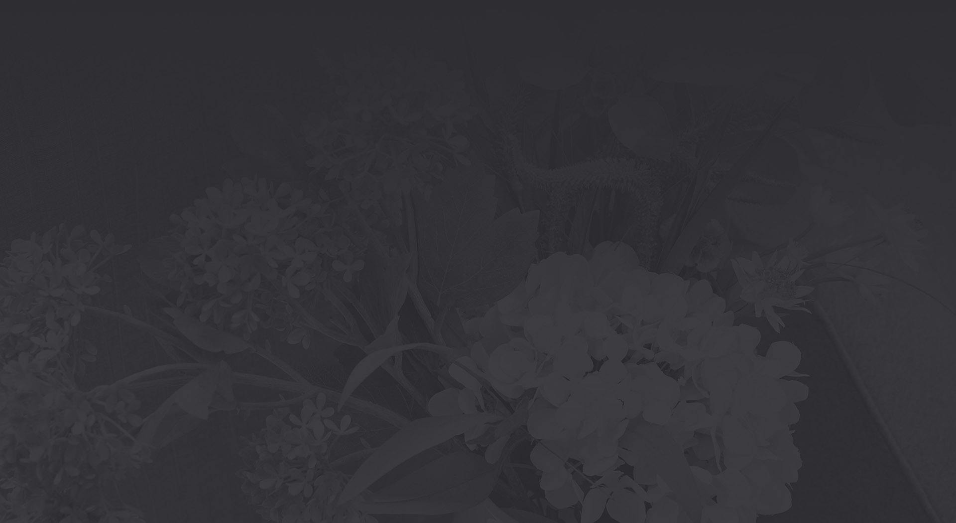 Gallery background